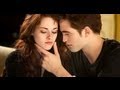 Twilight Saga: Breaking Dawn Part 2 -- Fan Reviews