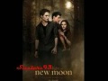 Official new moon movie poster!! Leaked?! Now released!!