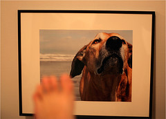 the script selling game