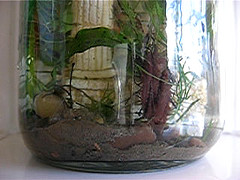 movie making magazine