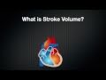 049 What Stroke Volume is and How to Calculate it