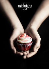 the making of twilight the movie