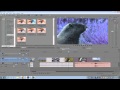 Sony Vegas Pro 11: Beginners Tutorial