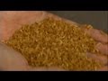 euronews science - Breaking the Indonesian rice habit